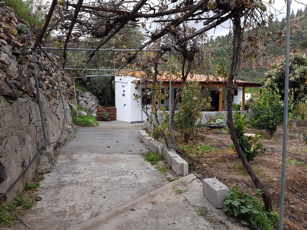 Casa Rural La Hoyita De Tunte San Bartolomé Exteriör bild