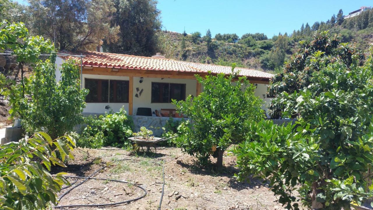 Casa Rural La Hoyita De Tunte San Bartolomé Exteriör bild