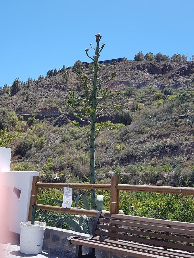 Casa Rural La Hoyita De Tunte San Bartolomé Exteriör bild