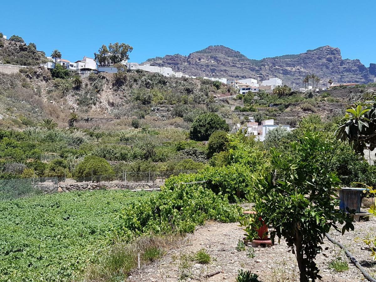 Casa Rural La Hoyita De Tunte San Bartolomé Exteriör bild
