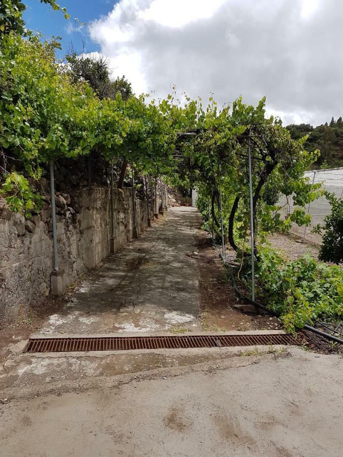 Casa Rural La Hoyita De Tunte San Bartolomé Exteriör bild