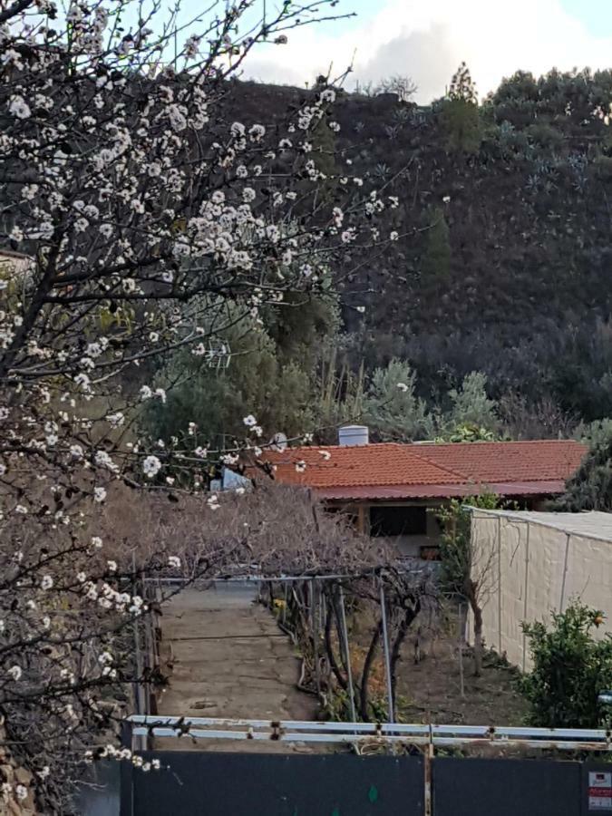 Casa Rural La Hoyita De Tunte San Bartolomé Exteriör bild